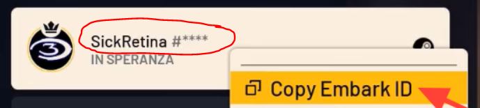 Your unique Embark ID from Arc Raiders